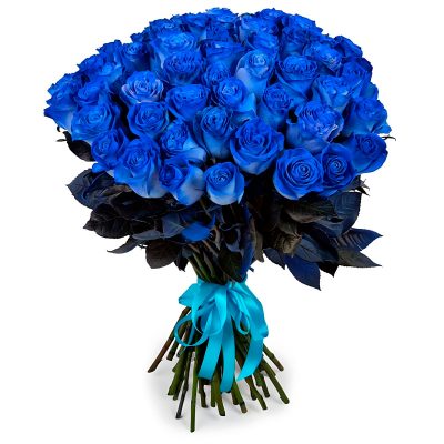 Розы Голландия синие